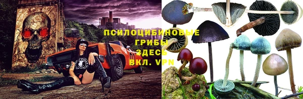 бошки Белоозёрский