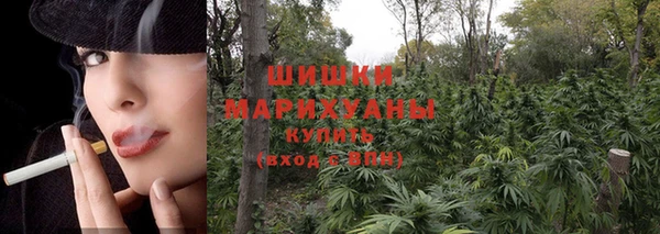 Альфа ПВП Белокуриха