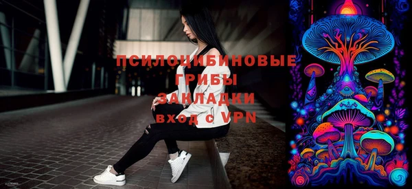 Альфа ПВП Белокуриха