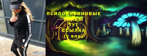 Альфа ПВП Белокуриха