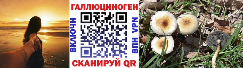 Галлюциногенные грибы ЛСД  Купить  Армянск 